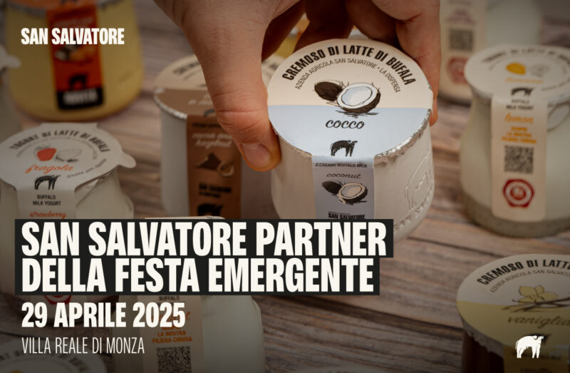 Festa-emergente_Comunicato